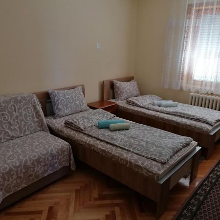 Vila Marko Niska Banja Dış mekan fotoğraf