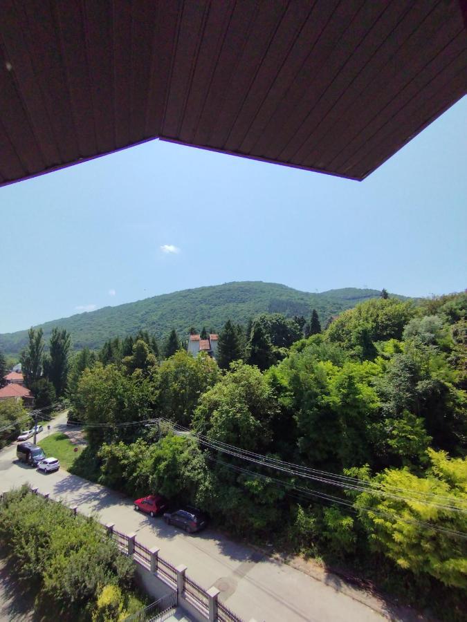 Vila Marko Niska Banja Dış mekan fotoğraf