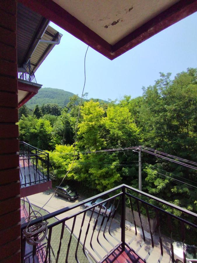 Vila Marko Niska Banja Dış mekan fotoğraf