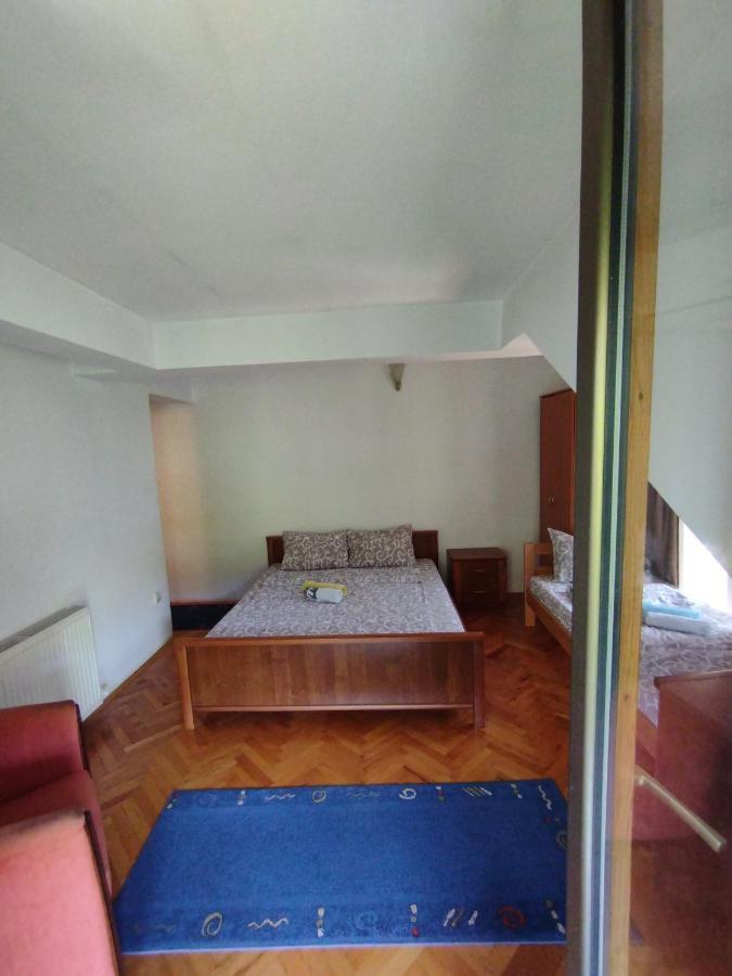 Vila Marko Niska Banja Dış mekan fotoğraf