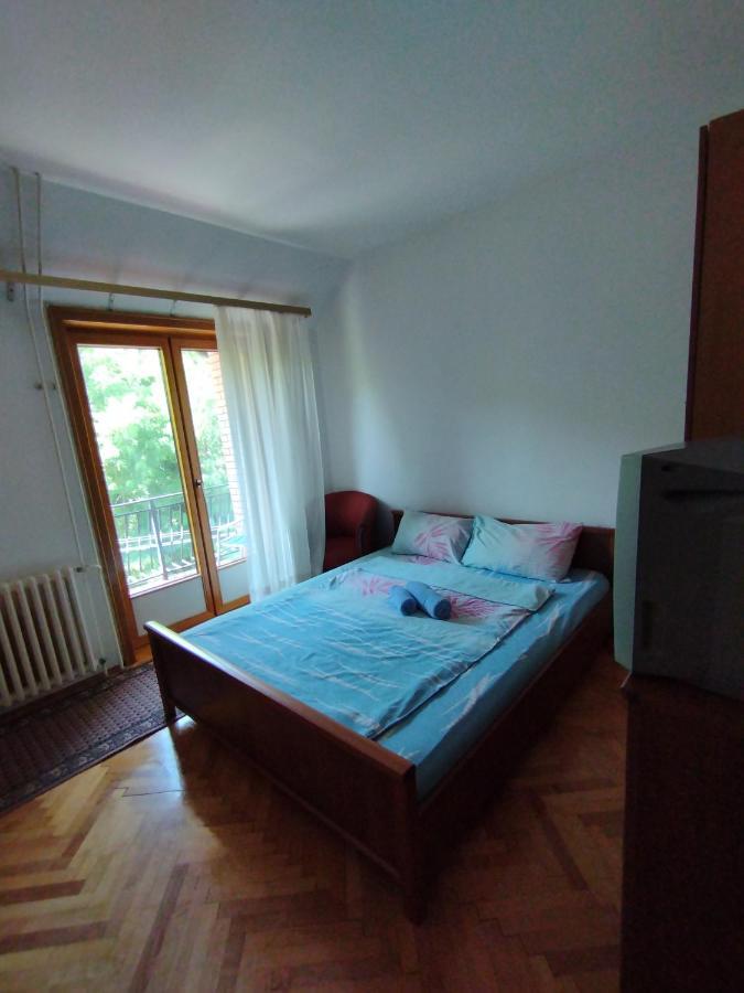 Vila Marko Niska Banja Dış mekan fotoğraf