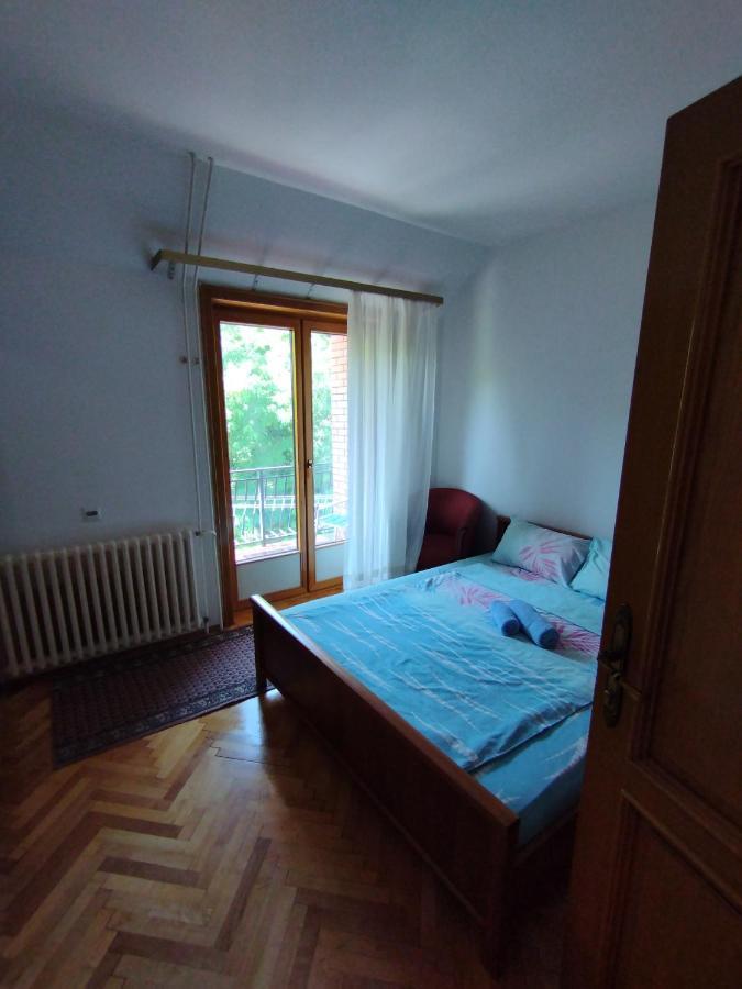 Vila Marko Niska Banja Dış mekan fotoğraf